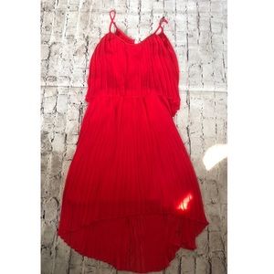 Express red Pleated dress